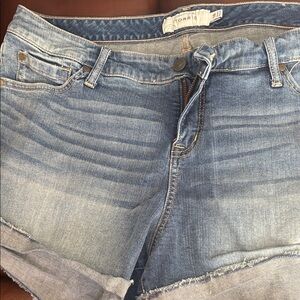 Torrid Light Blue Denim Shorts
